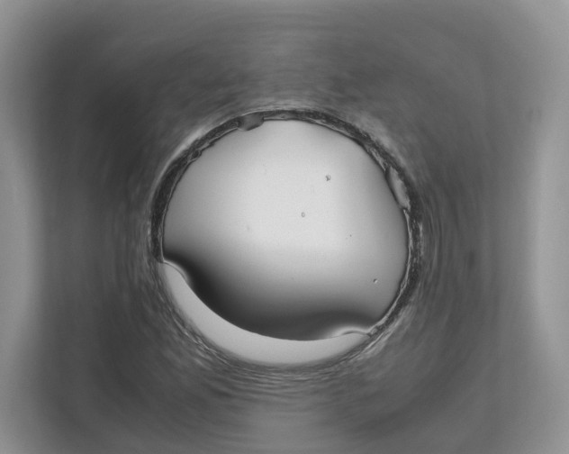 X0000111851165200908131433