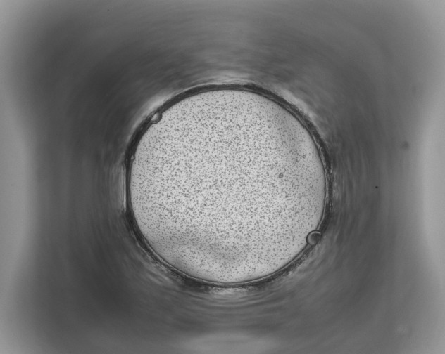 X0000111851171200908131433