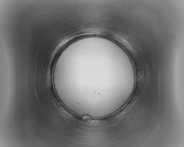 X0000111851172200908131433