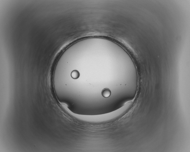 X0000111851173200908131433