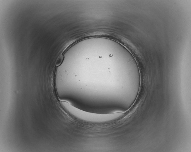 X0000111851177200908131433