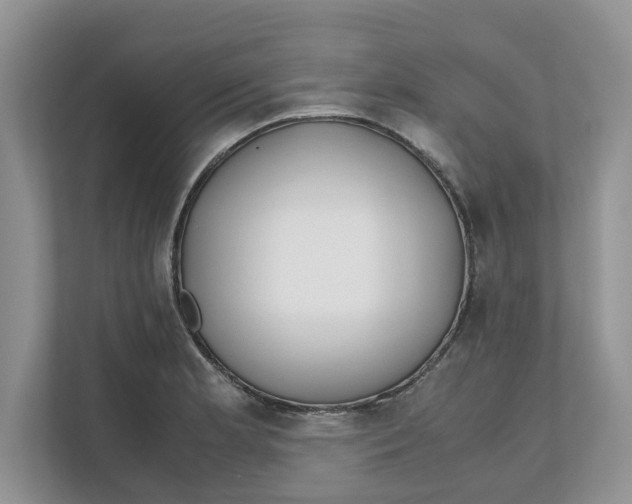 X0000111851181200908131433