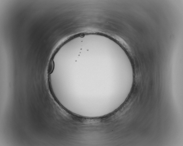 X0000111851183200908131433