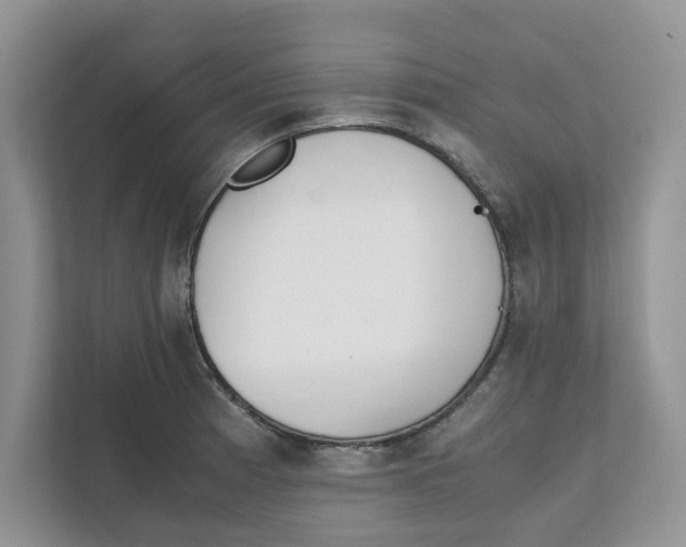 X0000111851185200908131433