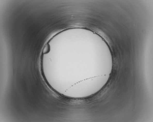 X0000111851187200908131433