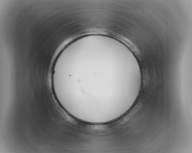 X0000111851188200908131433