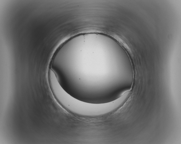 X0000111851189200908131433