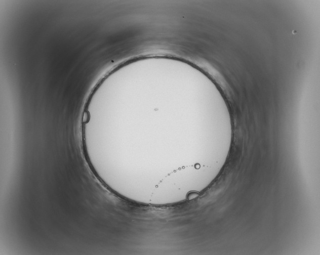 X0000111851191200908131433