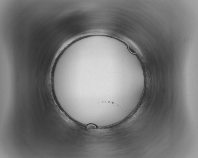 X0000111851192200908131433