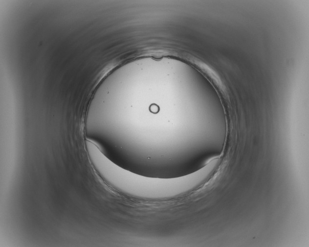 X0000111851193200908131433