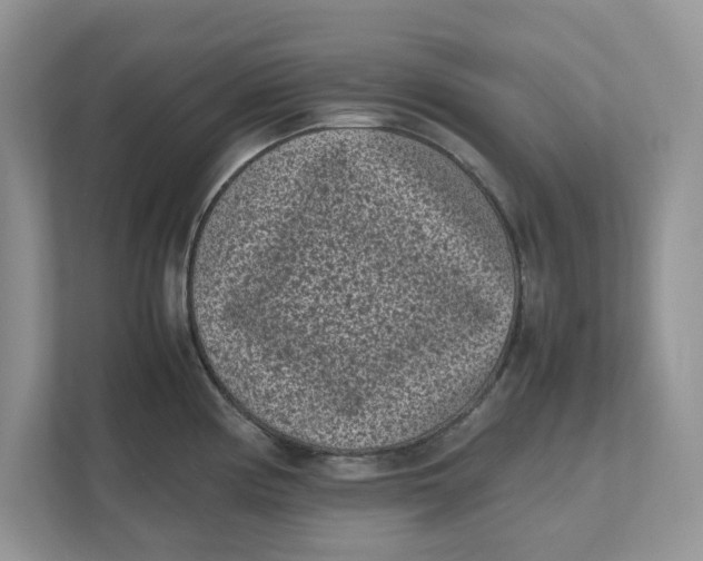 X0000111851194200908131433