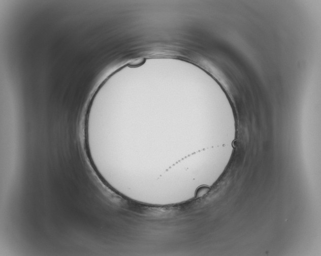 X0000111851195200908131433