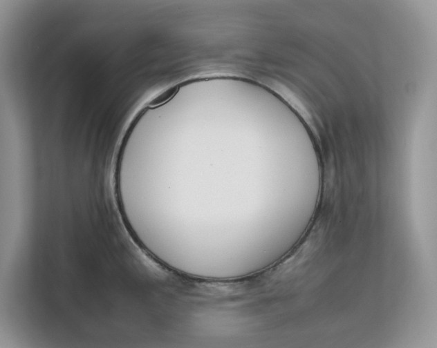 X0000111851197200908131433