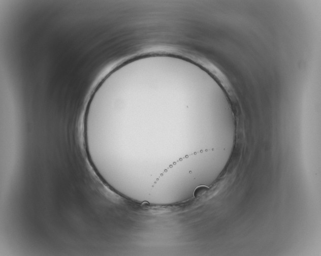 X0000111851199200908131432