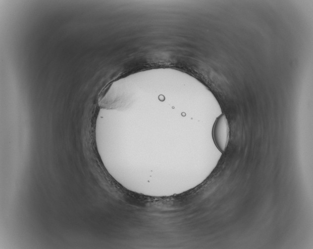 X0000111851201200908131432