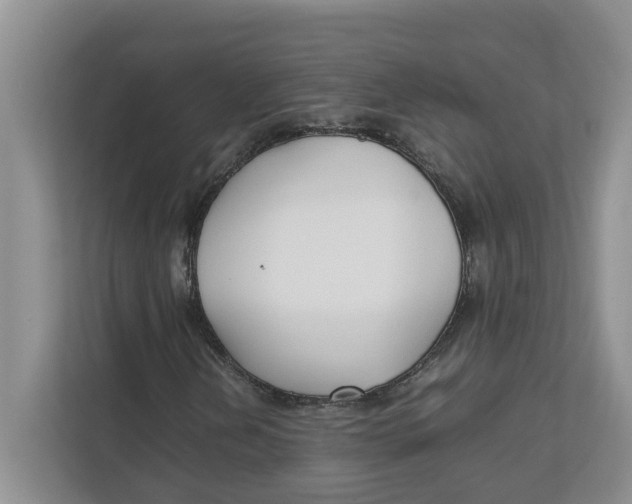 X0000111851202200908131432