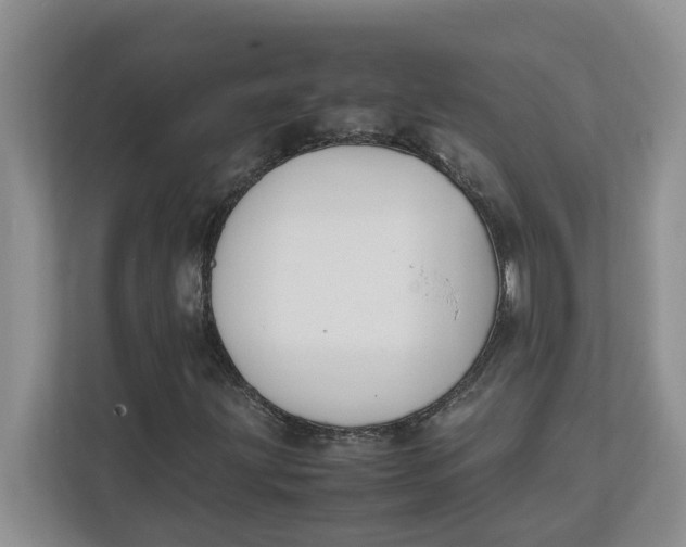 X0000111851203200908131432