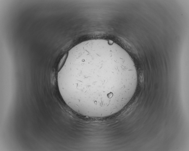 X0000111851204200908131432