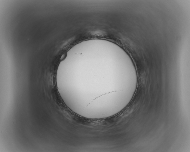 X0000111851205200908131432