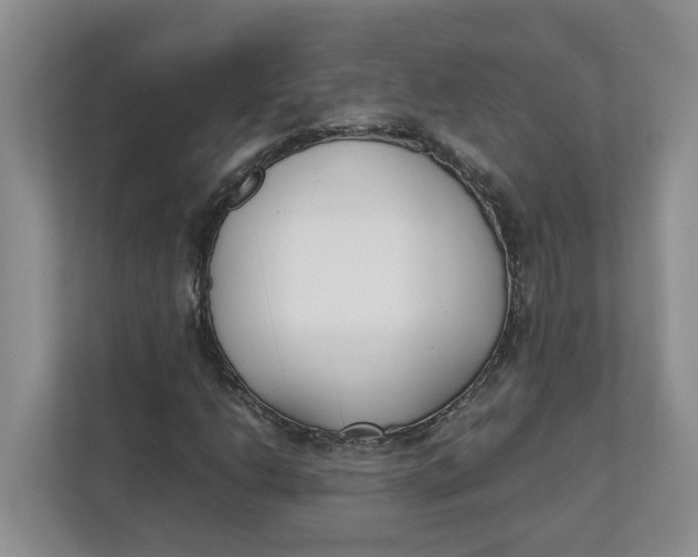 X0000111851206200908131432