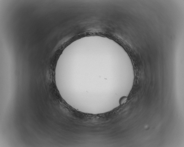 X0000111851207200908131432