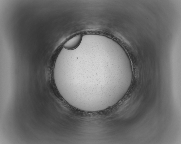 X0000111851208200908131432