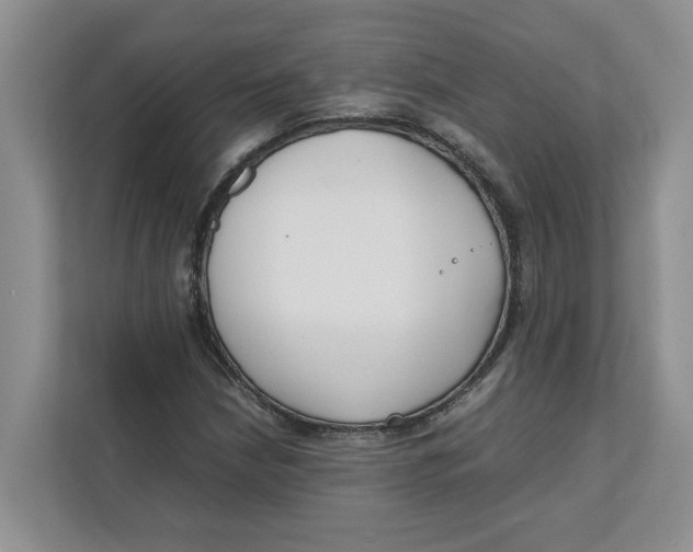 X0000111851210200908131432