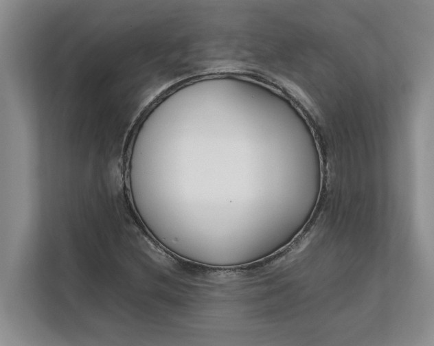 X0000111851212200908131432