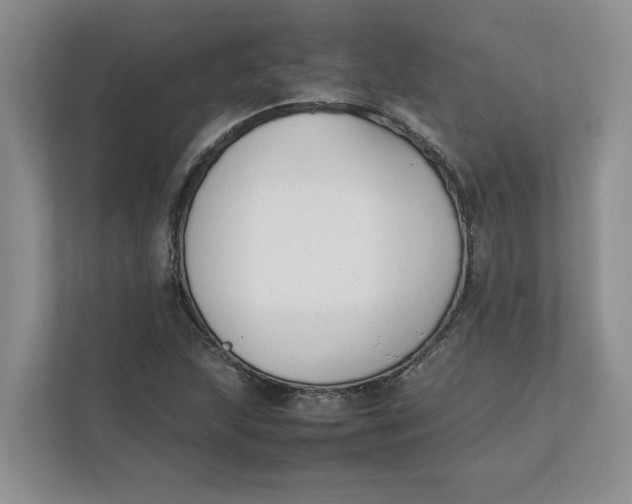 X0000111851215200908131432