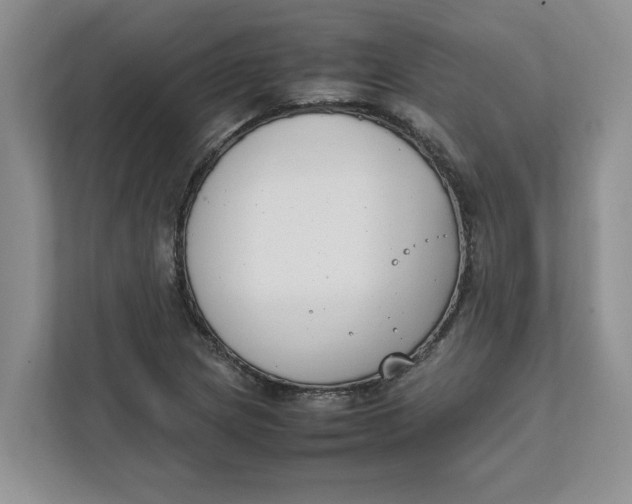 X0000111851217200908131432