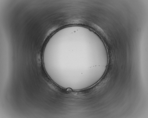 X0000111851218200908131432