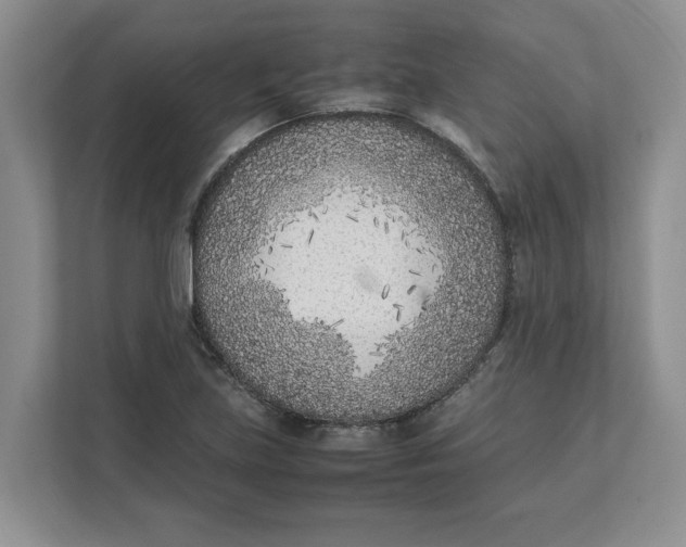 X0000111851219200908131432