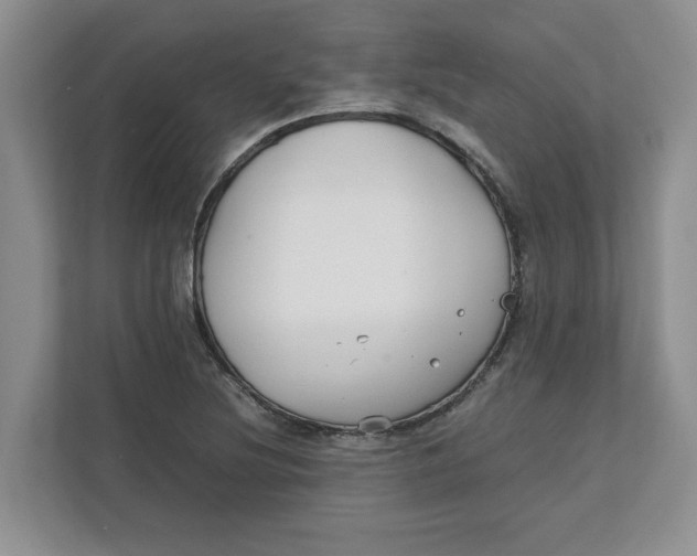 X0000111851220200908131432