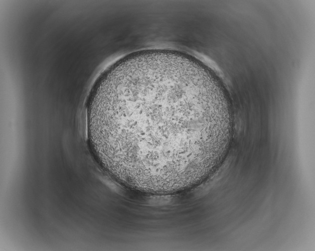 X0000111851223200908131432