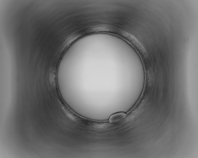 X0000111851225200908131432