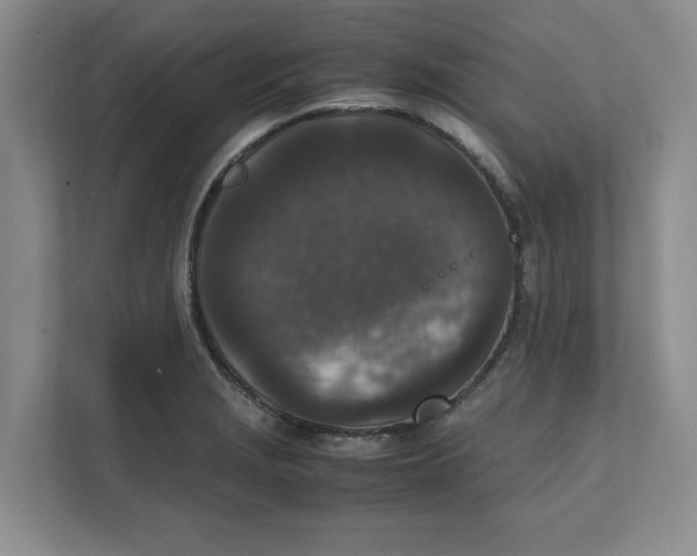 X0000111851229200908131432