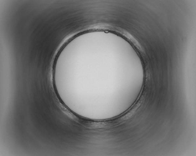 X0000111851232200908131432