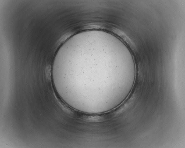 X0000111851233200908131432