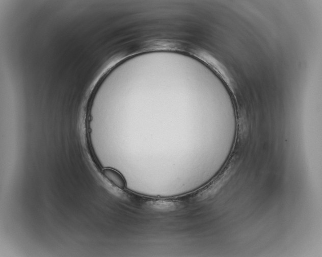 X0000111851235200908131432