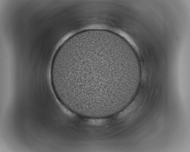 X0000111851237200908131432