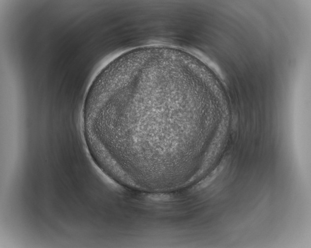 X0000111851239200908131432