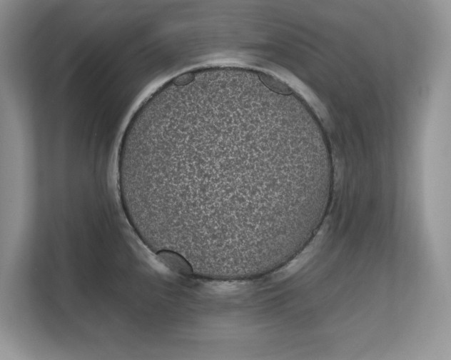 X0000111851240200908131432