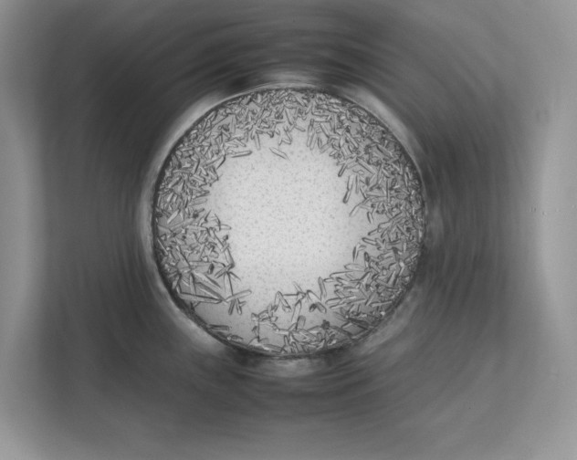 X0000111851243200908131432