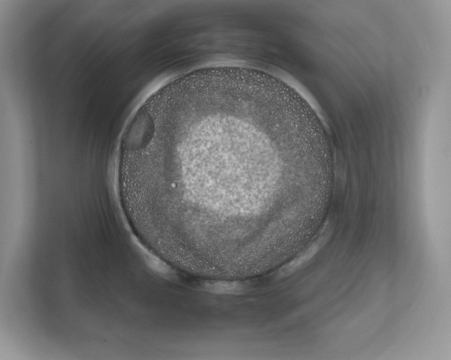 X0000111851245200908131432