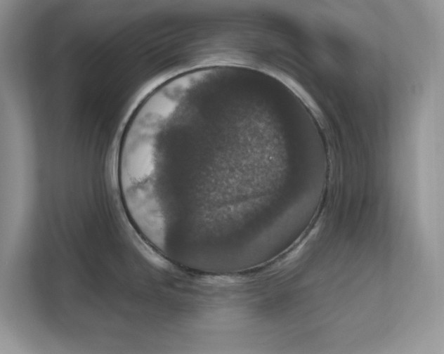 X0000111851246200908131432