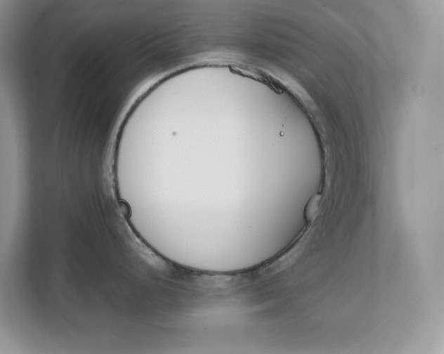 X0000111851248200908131432