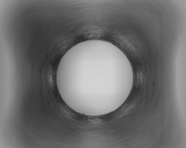 X0000111851250200908131432