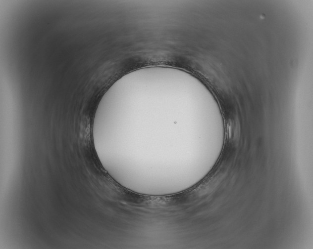 X0000111851251200908131432