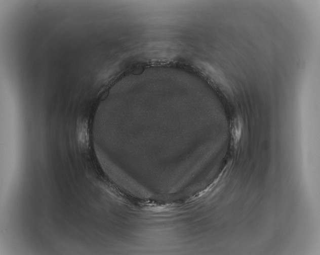 X0000111851252200908131432