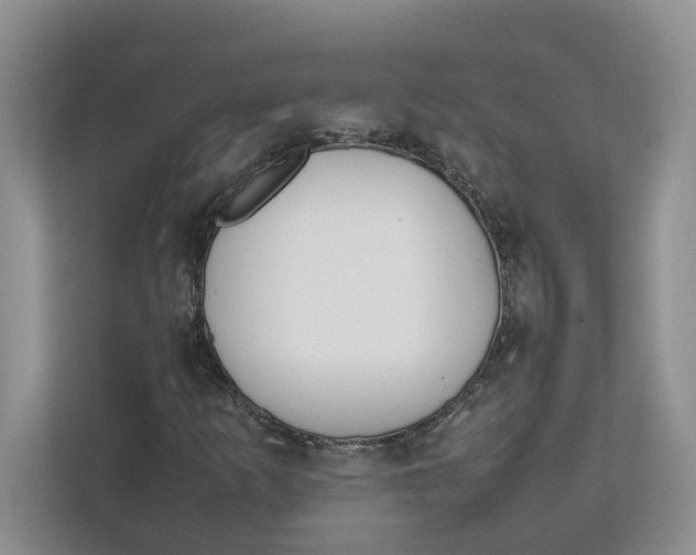 X0000111851253200908131432